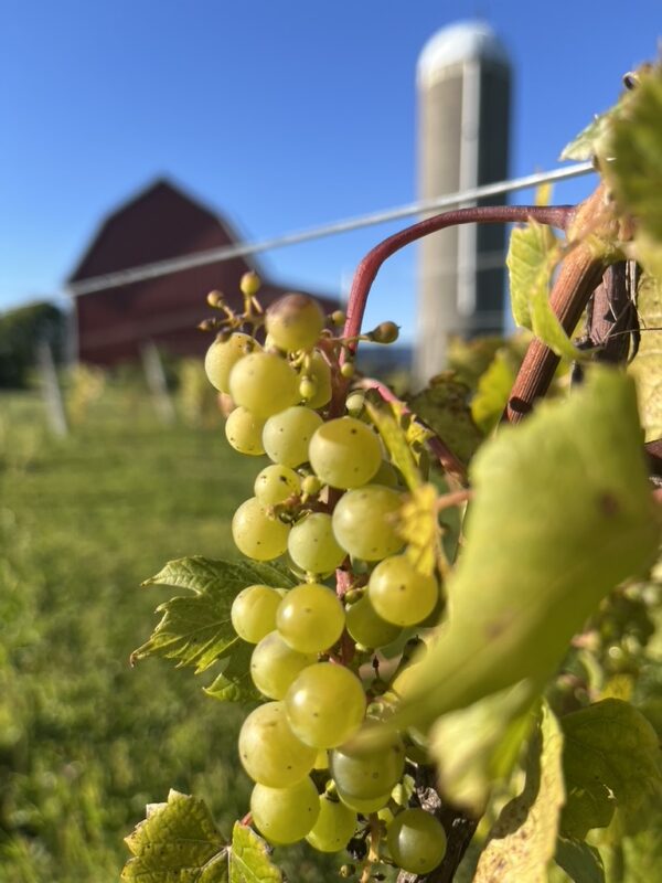 BCC22B68-0CE2-4A62-8F33-5D376613D784_1_105_c