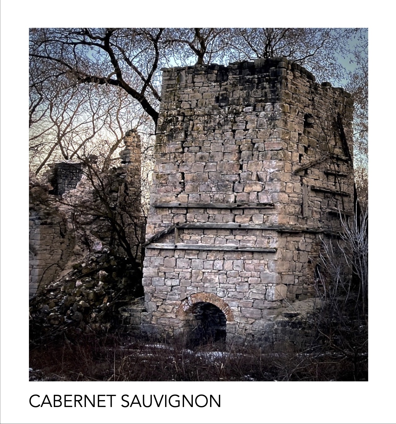 Cabernet S (back) Label