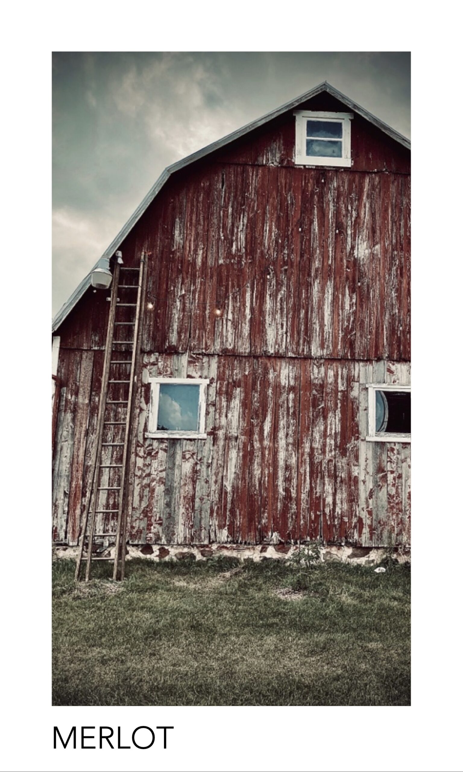 Merlot Front Label copy