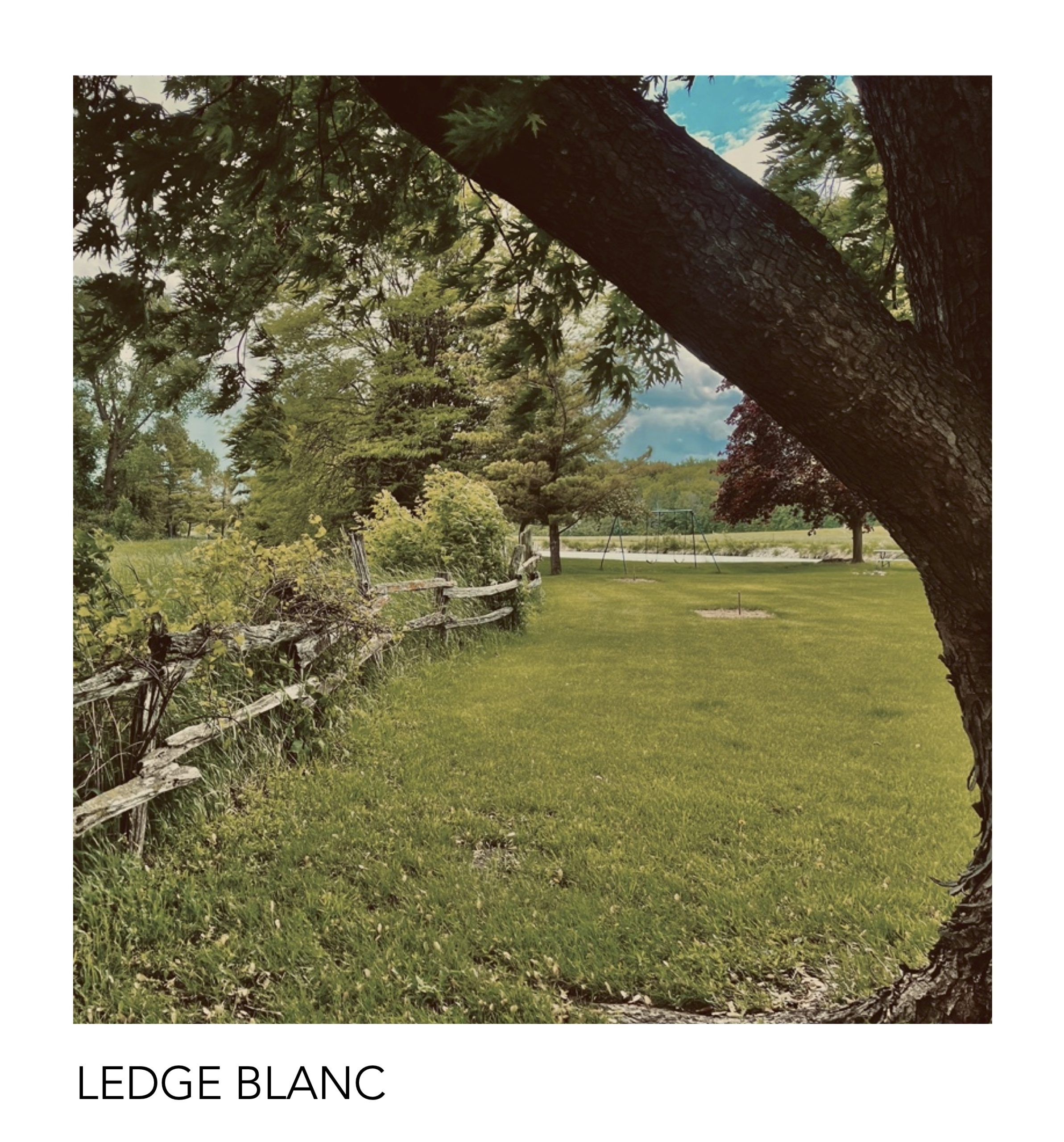 Ledge Blanc label front